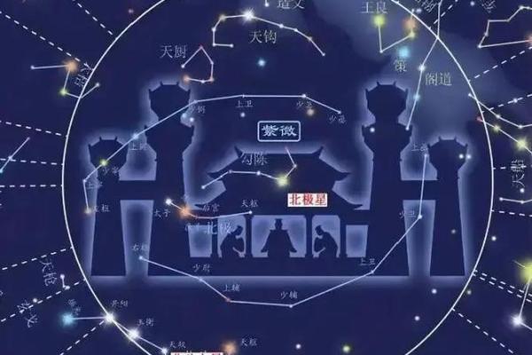 紫薇斗数星系组合 紫薇斗数星系组合