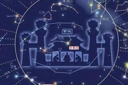 紫薇斗数星系组合