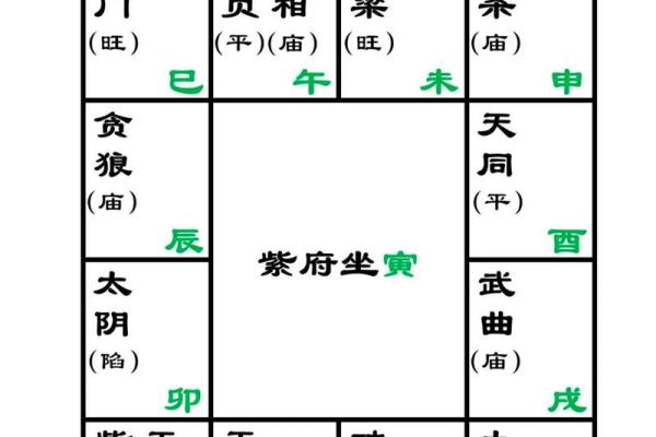 紫微斗数,解析紫薇南斗星 紫微斗数,解析紫薇南斗星