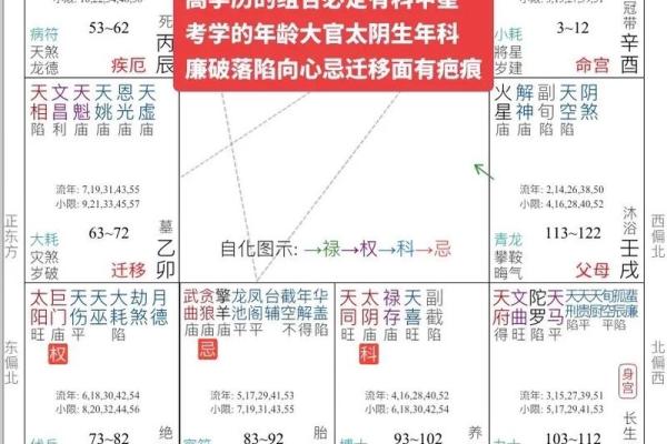 紫薇斗数八字算命软件