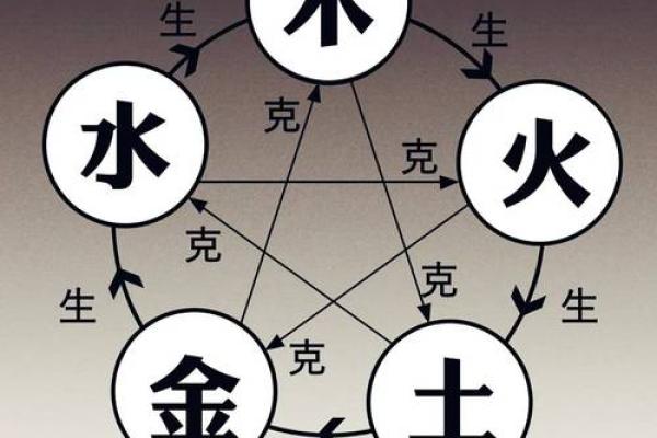 面相算命入门：五行与相貌