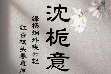 出生在2019年农历腊月二十三五行缺水的女孩如何起名更好？姓名