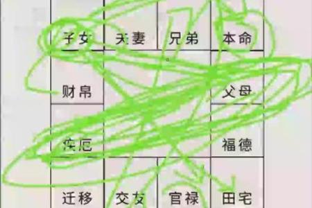 紫微排盘官禄宫自化忌 官禄宫自化忌命运影响