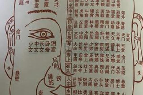 曲靖哪里算命准