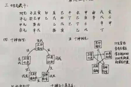 怎么看自己八字属于什么命