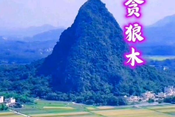 钦天门紫微斗数 斗数基础第20讲 贪狼（一）