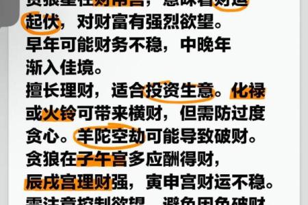 钦天门紫微斗数 斗数基础第20讲 贪狼（一）