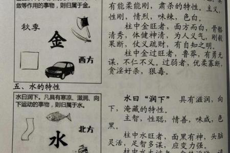 五行属性算命