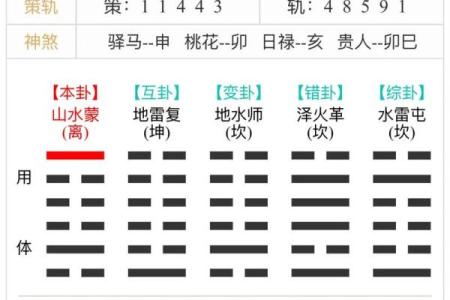 梅花易数六爻测试吉凶详解