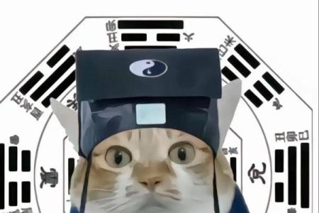 紫薇斗数外国人