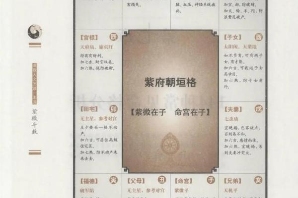 紫薇斗数子女宫性