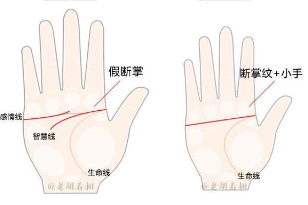 断掌纹看相算命图解