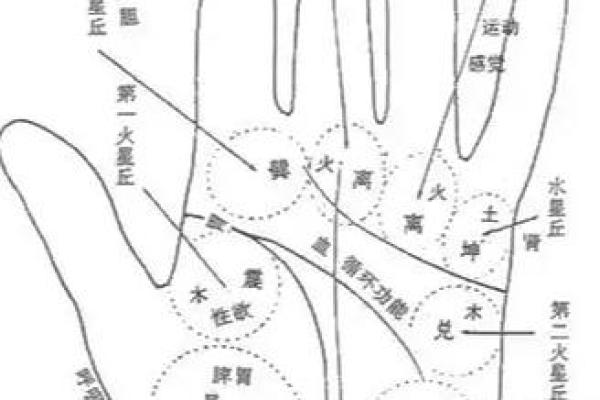 断掌纹看相算命图解