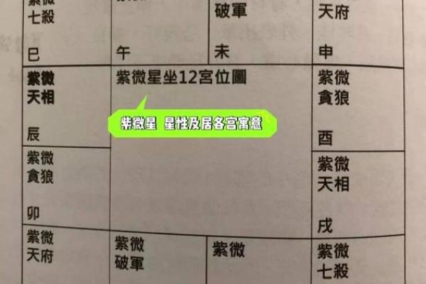 紫薇星在申宫