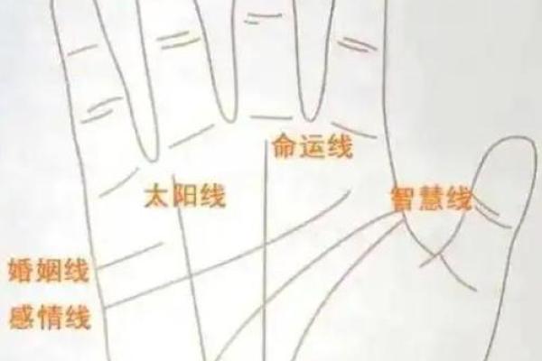 看手相算命：第三课 指头与掌型