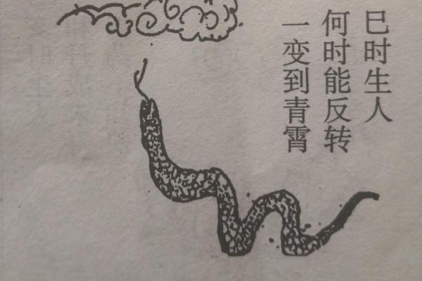 胎记的位置与运势算命