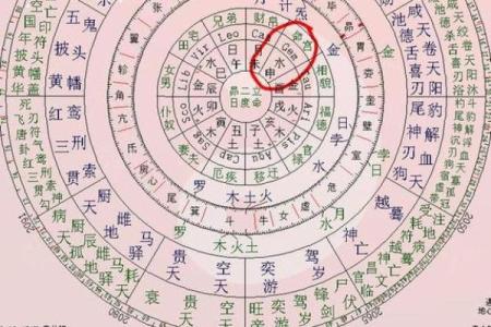 紫微斗数诸星落诸宫之：子女宫
