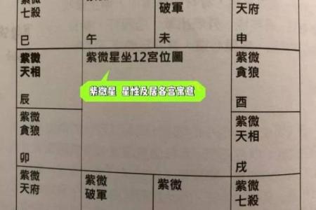 紫薇星在申宫