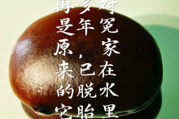 石坚强，八字命硬怎么办？