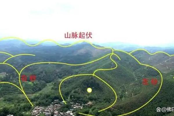 好的祖坟风水几年见效