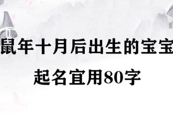 半夜出生的属鼠男孩起名用什么字最好姓名