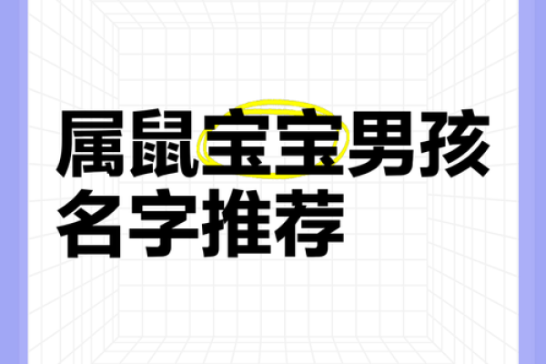 半夜出生的属鼠男孩起名用什么字最好姓名