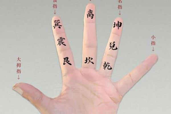 算命的手势,各种手势图片大全