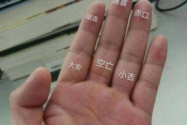 算命的手势,各种手势图片大全