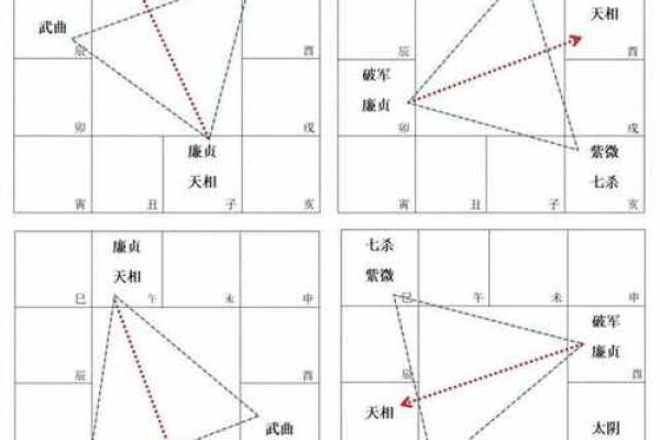 紫微斗数诸星落诸宫之:廉贞星财帛宫详解 紫微斗数诸星落诸宫之:廉贞星财帛宫详解
