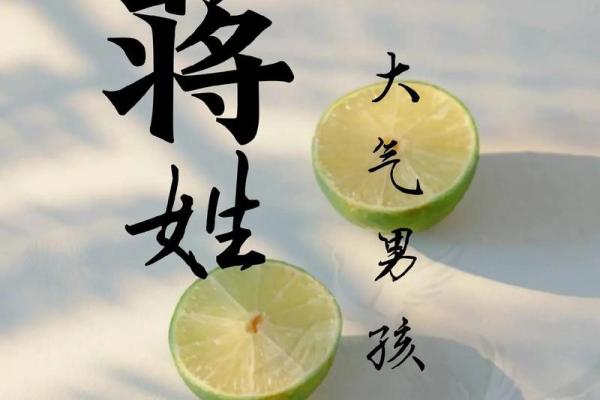 蒋姓男孩名字大全-蒋姓男孩起名字大全-蒋姓名字大全姓名