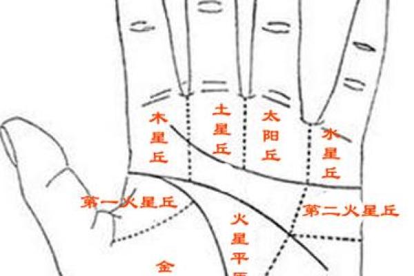 男人九种手相算命图解 男人九种手相算命图解