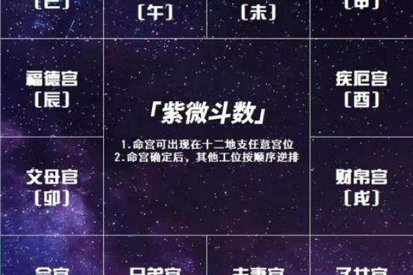 紫薇斗数官禄宫配偶