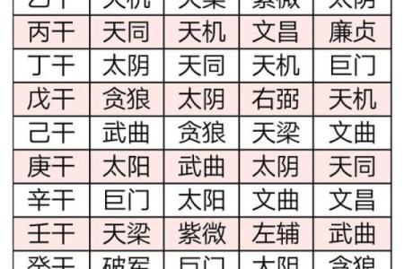 紫薇斗数四化表