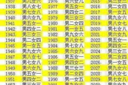 八字配对合婚图