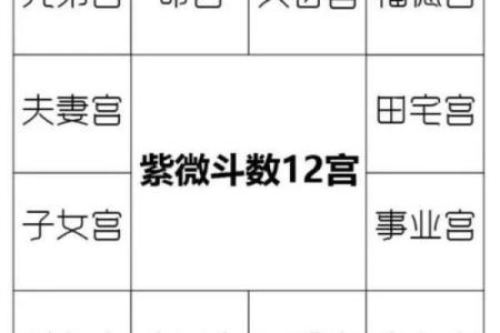 紫薇斗数看命运好坏