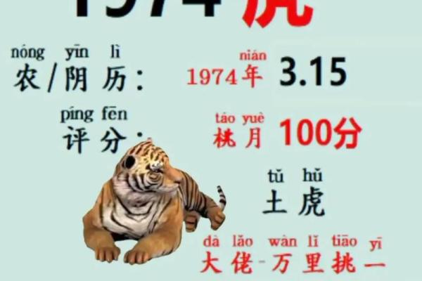 梦到算命说明年破财