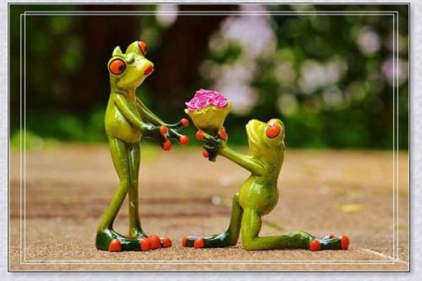 梦见朋友去算命 梦见朋友去算命