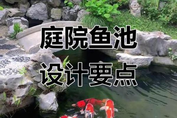 房子脚下建鱼池风水