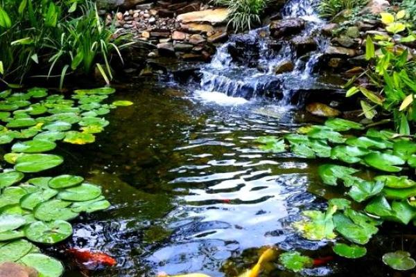 房子脚下建鱼池风水