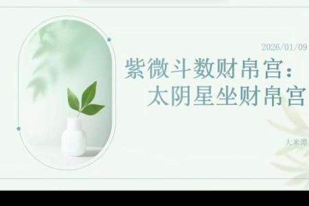 紫微斗数诸星落诸宫之：财帛宫