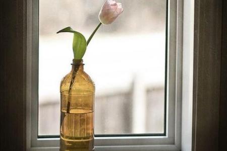 梦见朋友去算命