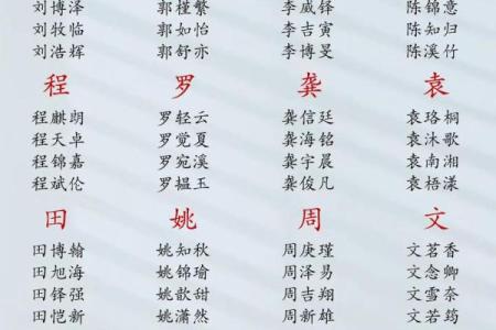 怎么样下午4点出生的属鼠男孩取名字姓名