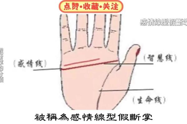 男人断掌手相算命,男人掌纹图解算命