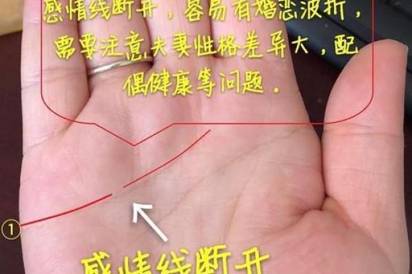 男人断掌手相算命,男人掌纹图解算命