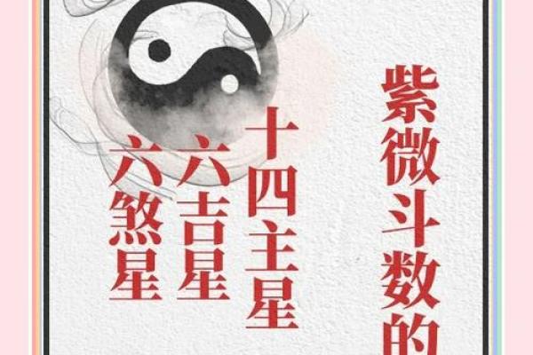 紫薇斗数对星 紫薇斗数对星