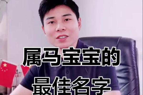 怎样给一月份出生属马的男孩取名字姓名