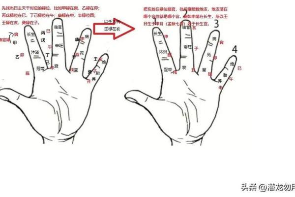 手指算命,手指掐算算命图解