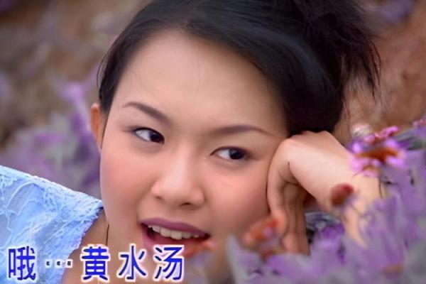 紫薇斗数依婷 紫薇斗数依婷