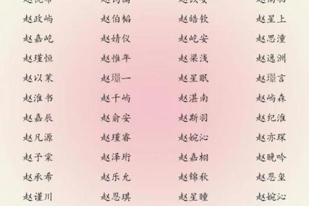 2019年5月13号卯时出生的男孩应该起什么样的名字姓名