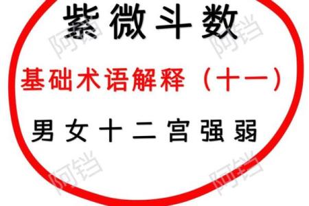 紫微斗数基本知识,紫微斗数常识